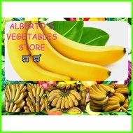 ☃ ╯ FRESH FRUIT BANANA LAKATAN 1kg