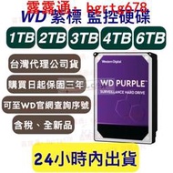 WD 紫標　硬盤 監控硬　碟1T/2T/3T/4T/6T  三年保固 1TB/2TB/3TB/4TB/6TB