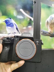 Sony A7R3 A7R III A7RIII A7R 3