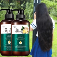 Ginger Shampoo Hair Growth Anti Loss 500ml