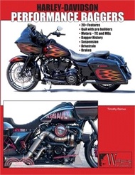 648.Harley-Davidson Performance Bagger