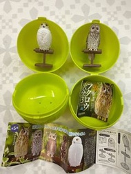 日本扭蛋 貓頭鷹Hedwig