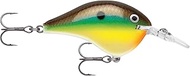 Rapala DIVES-TO BRM Bream DT6 2.0 inches (5 cm) / 0.4 oz (12 g)