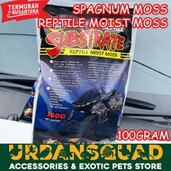 Nomoy NC-01 100GRM MOIST MOSS SPAGNUM MOSS TERRARIUM VIVARIUM