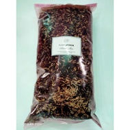 Aroid Mix (Campuran Aroid) Buy 3 @RM9.90