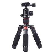 Mini Desktop Tripod Portable SLR Camera Tripod Straight Broadcast Photo Stand