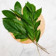 Bay Leaves 100 gr - Fresh