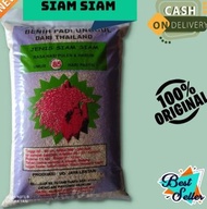New Benih Padi Siam Siam Bibit Padi Unggul 5 Kg 🤞 Terlaris