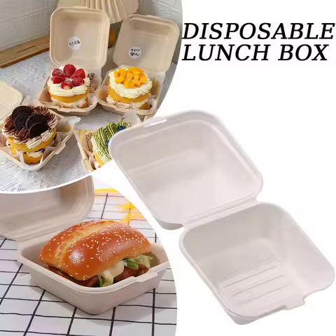 Disposable Bento Takeaway Container Disposable Bento Cake and Cupcake Box Heatable Biodegradable Foo