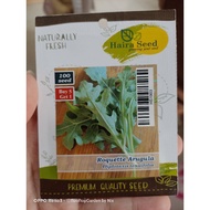 LT2/10 - SUPERIOR SEEDS PACKAGING BY THOUSAND ROQUETE ARUGULA HAIRA SEED