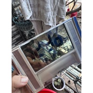 Japanese seiko Alarm Clock