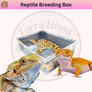 [A6&amp;A4 Size] Reptile Breeding Box Gecko Rack System container box a4 size cabinet box rack gecko drawer