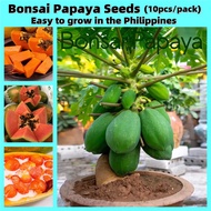 10pcs Red Lady Dwarf Papaya Seeds for Planting Fresh Fruit Seed Heirloom Variety Papaya Tree Seeds P