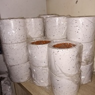 Terracotta pot white pasha tree