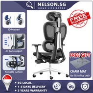 NELSON Ergonomic Office Chair Removable cushion Computer Desk Chair Adjustable back Breathable Mesh Chair  with Dynamic Lumbar Support Height Adjustable 3D Headrest