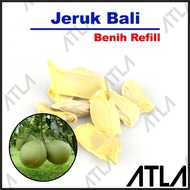 Benih Jeruk Bali Biji Buah Pamelo Bibit Tanaman Pohon Refill