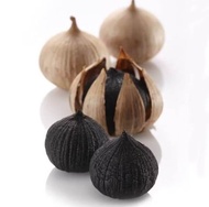 bawang hitam tunggal black garlic permentasi tampa di kupas bawang putih tunggal