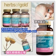 澳洲直送✈️澳洲高端品牌Herbs of gold Breastfeeding Support催奶片 60粒👩🏻‍🍼哺乳期媽媽必備🍼