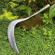 Sabit Jawa Potong Padi Bentuk Ani Ani Baja Asli Putih Anti Mleot Super Tajam - Arit Potong Rumput De