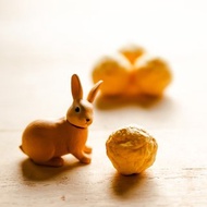 向日葵種子球 (5顆裝/不含花器培養土)