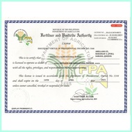 ✦ Bravado F1 Hybrid Sweet Corn Pack - Condor Quality Seeds