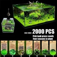 🔥Ready Stock🔥Aquarium Plant Seed Akuarium Water Grass Carpet Plant Aquatic Plants Biji Benih Rumput Air Foreground