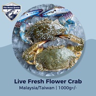 Airflown Live Flower Crab (Malaysia/Taiwan) M~XL