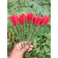 Bunga mawar flanel wisuda buket murah READY STOK PLASTIK MIKA TEBAL