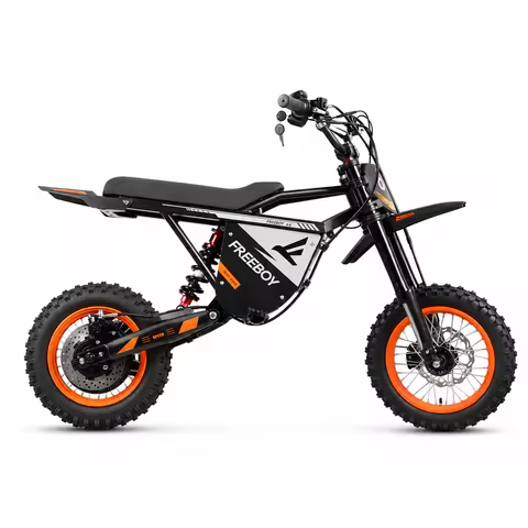 FREEBOY Y66 3000W Electric Dirt Bike for Adults Teens, 34MPH 48V 30Ah Lithium Battery Off-Road Elect