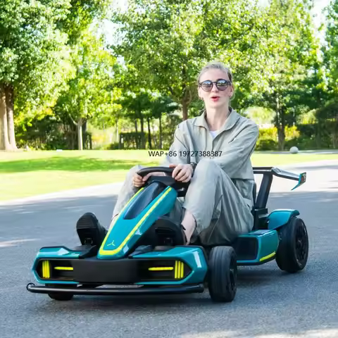 High Speed 24v 36v Children Adult electric go kart four-wheel electric Drift Kart Racing Car Bumper 