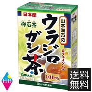【送料無料】ウラジロガシ茶　5g×20包