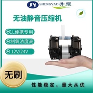 Source Manufacturer Oil-Free Silent Air Pump Compressor DC Portable Oxygen Maker Air Compressor 12V/