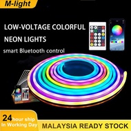 12V Flexible RGB smart led neon light strip remote control 5m neon led strip light with Music Sync A