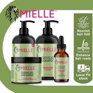Mielle Rosemary Mint Scalp & Hair Strengthening Oil Mielle Organics Rosemary Mint Scalp & Hair Stren