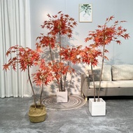 Tree Maple Ficus Potted Plant Simulation Decoration Red Maple Red Tree View Maple Shape Large Floor-