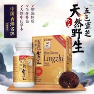 ★Welcome⭐Vita Green/Vita Green Vita Green/Vita Green20250616