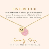 Sorority Shop DZ Necklace - Delta Zeta Pink Druzy Gemstone Necklace With Engraved Pendant – 14K Gold