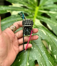 ( CN ) Vỏ mạch Dewalt 4AH 20V 1 hàng cell 21700 mạch như zin. BN.