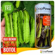 Tin 200g (500 Biji) BIG FOUR WB48 Crop Power Biji Benih Kacang Botol Besar Ulam Premium Big Winged B
