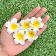 3 PCS Bunga Kamboja Putih Bali Artificial Flower Ukuran 5cm 9cm Kelopak Kuntum Kepala Kembang Jepun