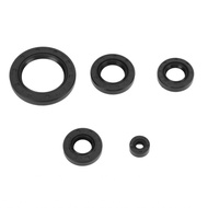 Ddhihi Oil Seal Set  Engine Parts Rubber Wearproof High Strength for 125 150 200 250cc ATV Go Kart Quad Pit Dirt Bike