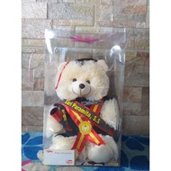 30 CM boneka wisuda beruang teddybear PAKAI KERANJANG  SELEMPANG  KOTAK MIKA  buket boneka wisuda  p