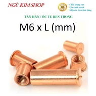 WELDING ECU _ WELDING CAN _ CLEAR THREAD TE SCREW M6 x L