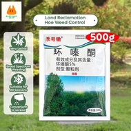 🌿500g Racunpokok kayu besar Racun pokok kills tree roots Tree killer Rumpai dibunuh Tree 除草剂