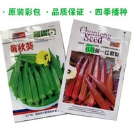 Red okra seeds + okra seeds Four seasons sowing farmers spring sowing high-yield現貨红秋葵种子+黄秋葵种子  四季播种农