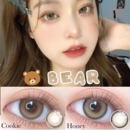 Bear 14.5mm (eff 16mm) 6Month Disposable Korea Lens