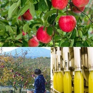 [Ready Stock]JA Aoren Aomori 100% Pure Apple Juice  Japan Drop Of Hope Red Apple Juice 1L 日本进口100%纯苹果汁