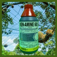 [ORIGINAL] 1L KEN-AMINE 600 Racun Rumput/RACUN RUMPAI/Racun Serap/KENAMINE /HC AMINE 600 Sama Hextar