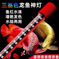 Lampu Ajaib Tiga Warna Utama untuk Ikan Arwana, Meningkatkan Warna dan Kilauan, Arwana, Lampu Ikan A