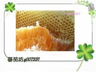 【蕃茄坊】新蜜 自家採收天然龍眼蜂蜜 5斤=3公斤